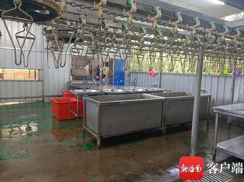 文昌推進(jìn)農(nóng)產(chǎn)品倉(cāng)儲(chǔ)保鮮冷鏈設(shè)施建設(shè) 農(nóng)村合作社一年增效90萬(wàn)